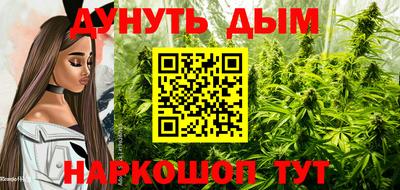 мяу мяу мука Тула
