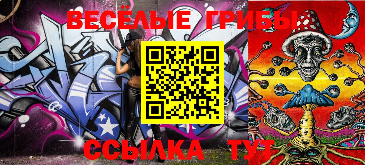 Галлюциногенные грибы Psilocybe Надым